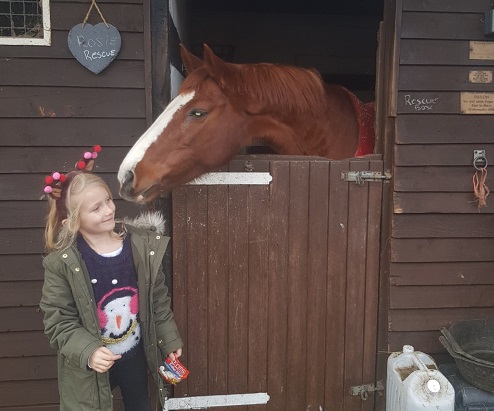 Please Support Kilmarnock Horse Rescue